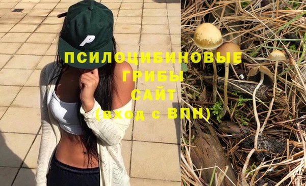 не бодяженный Верея