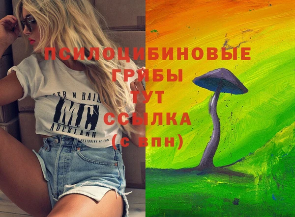 2c-b Верхний Тагил