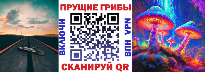Галлюциногенные грибы Psilocybe где найти Новоржев